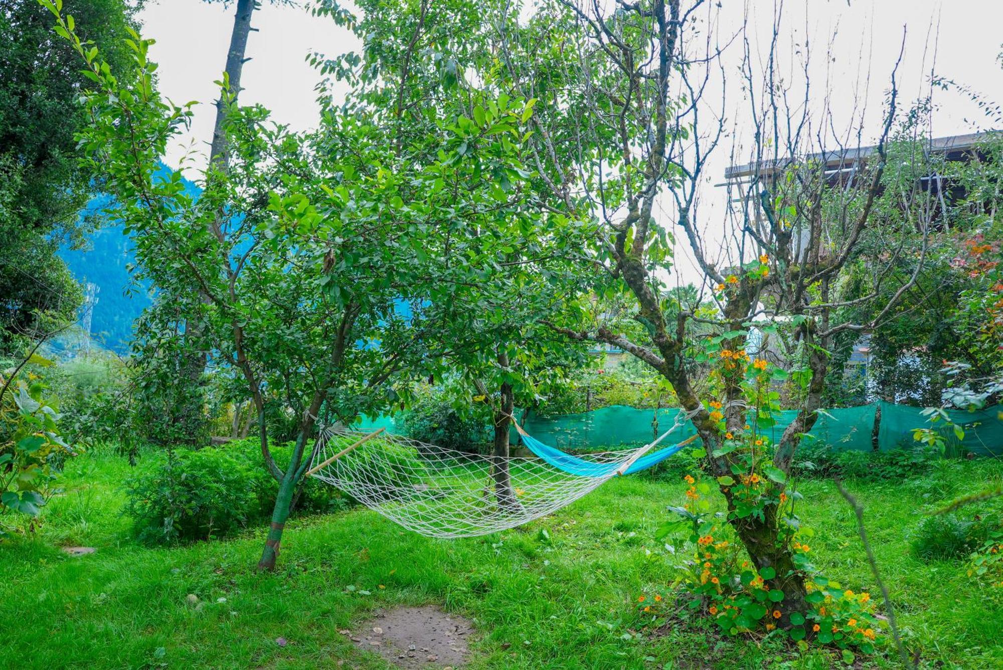 Nature Valley View Resort Manali 2 Bedrooms Luxury Cottages And Valley View Zewnętrze zdjęcie